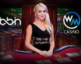 南宫app2024最新版